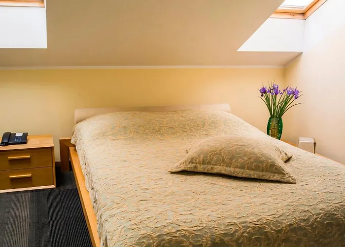 Elizabete Design 3* Ryga